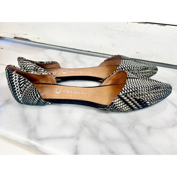 Jeffrey Campbell California Embroidered Pointed Toe Ord’say Flats - Picture 2 of 6